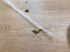 -85度C(广州石牌桥店)