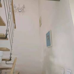 -净妍美肌专业净毛嫩肤连锁机构