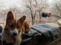 -南窖乡水峪村山情农家