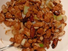 宫保鸡丁-眉州东坡(华联万柳店)