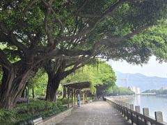 -光明港公园