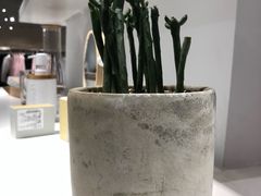 -OCE(熙地港购物中心店)