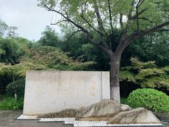 -习家池