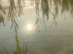 -莱西月湖公园