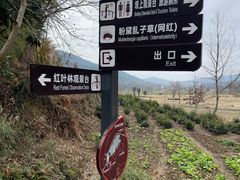 -塔川景区