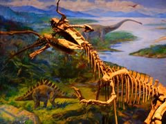 -自贡恐龙博物馆