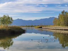 -野鸭湖国家湿地公园