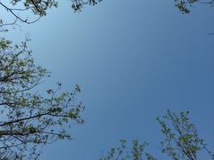 -天津东丽湖风景区