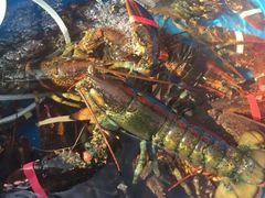 龙虾-海峡水产品交易中心(海鲜交易区)