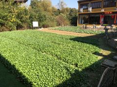 -重元寺香积厨素斋馆