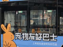 -帕帕拉兹宠物(亚洲旗舰店)