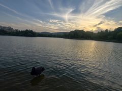 -江南大学(蠡湖校区)