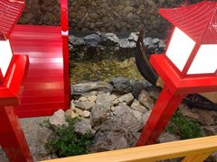 -綱元·海鲜豆捞(明州里店)