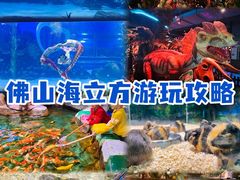-顺德南宏海立方海洋公园