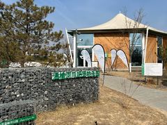 -爪吧宠物乐园·宠物泳池(温榆河示范区店)