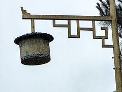-南靖田螺坑土楼群景区