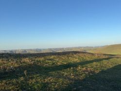 点击看大图 -鼎极摄影(蓝色港湾店)