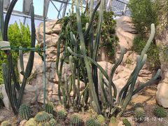 -北京植物园-展览温室