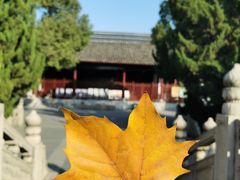 -苏州文庙(姑苏区)