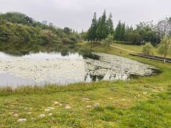 -眉山湿地公园(东坡区)