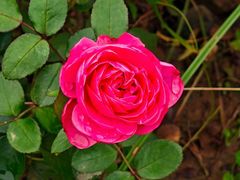 -汉长安城未央宫国家考古遗址公园