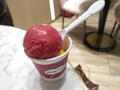 -哈根达斯(朝阳大悦城店)