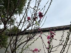 -乌山风景区