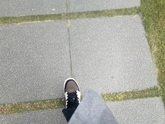 -成都南湖公园