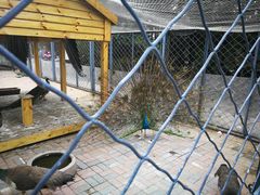 -长白岛森林公园