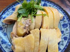 -九斤黄三黄鸡专卖店