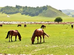 -塞罕坝国家级自然保护区