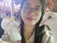 -广州融创文旅城