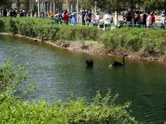 景点-长白岛森林公园