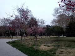 -解放人民公园