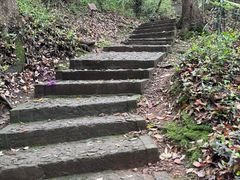 -上海佘山国家森林公园天马山园