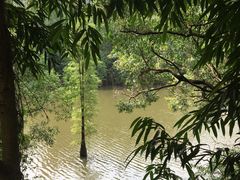 -滴水岩森林公园