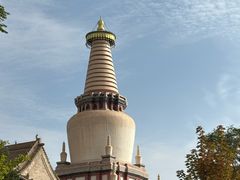 -张掖大佛寺景区