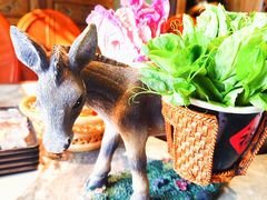 -慢丽江·云南野生菌土鸡锅(西山店)