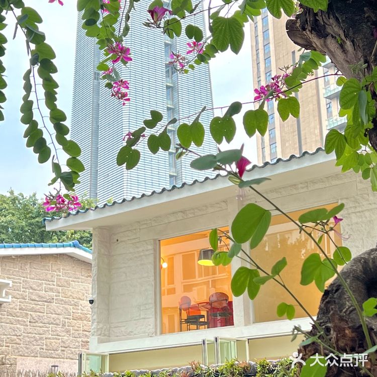 深圳探店｜Green wood coffee绿木咖啡