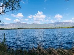 -野鸭湖国家湿地公园