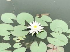 -太湖湖滨国家湿地公园-停车场