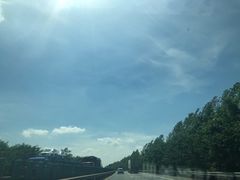 -小李子油焖大虾(天下城旗舰店)