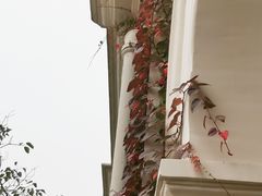 -Big House当代艺术中心