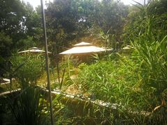 -谷咖啡·鲜花绿植花园餐厅