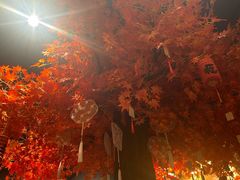 -Blue蓝觅女子SPA•私密养护会所(吉大店)