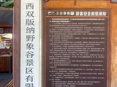 -野象谷景区