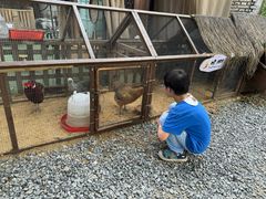 -HERRE·FARM 赫尔露营农场·团建聚会包场