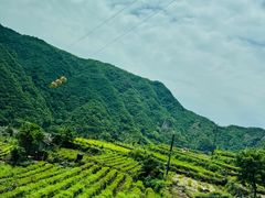 -雁荡山风景名胜区