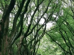 -东湖落雁景区