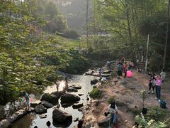 -重庆彩云湖湿地公园